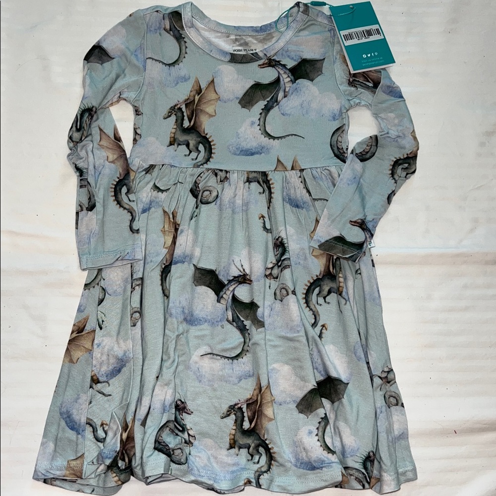 Posh Peanut PERCY Long Sleeve Twirl Dress 3T Dragon